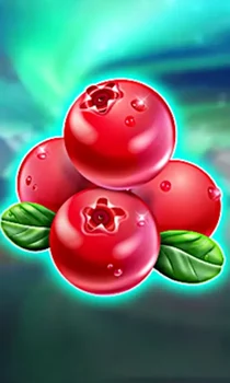 Winterberries