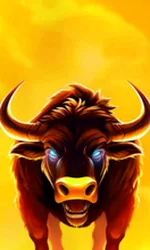 Big Wild Buffalo 2
